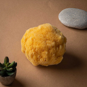 Natural Bath Sea Sponge from Kalymnos Island. Yellow Organic Fine silk soft Greek Sponges